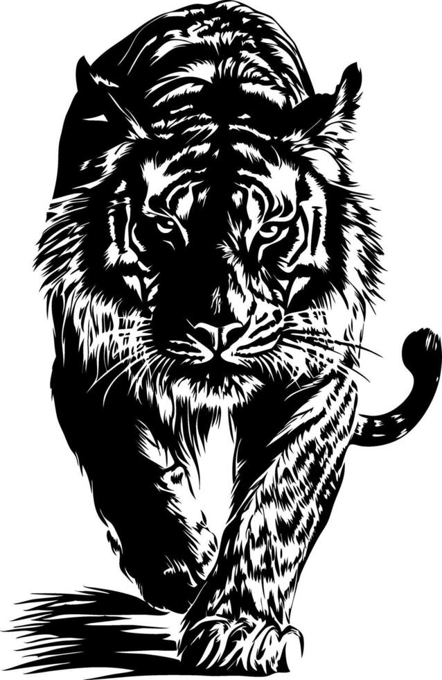 Fierce Tiger Art Illustration for Tattoos and Design Projects vector