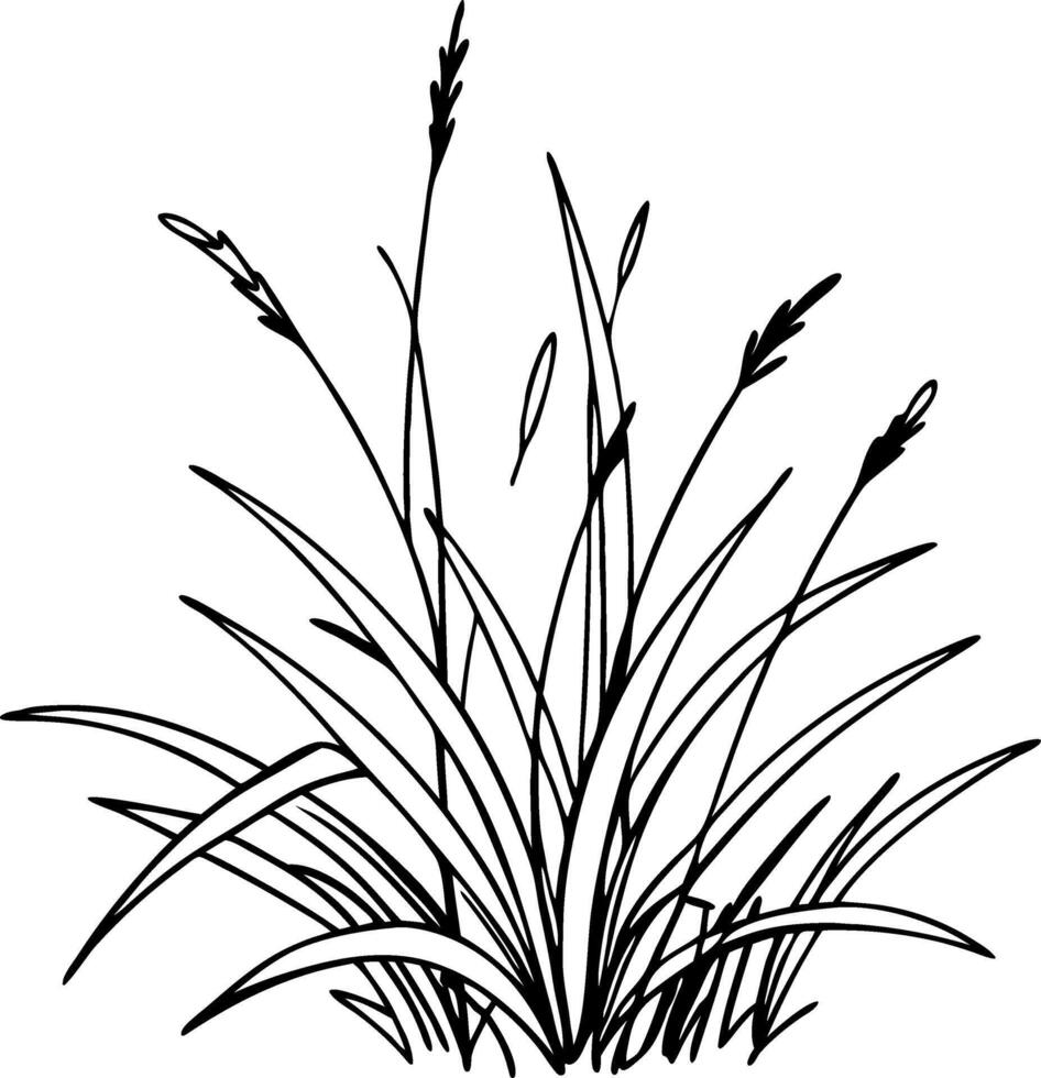 Black Silhouette Grass Illustration for Nature Art and Design vector