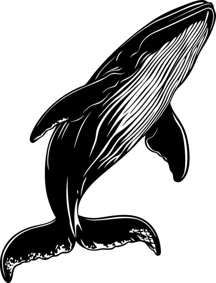 Majestic Humpback Whale Illustration for Artistic Projects vector