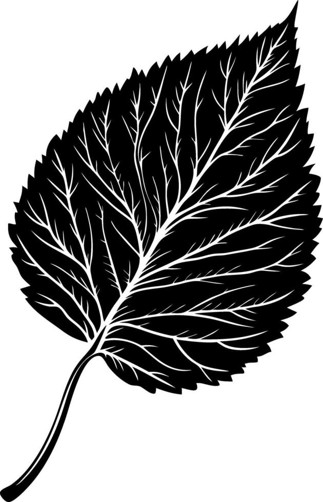 Detailed Leaf Illustration for Nature Art and Design Projects vector