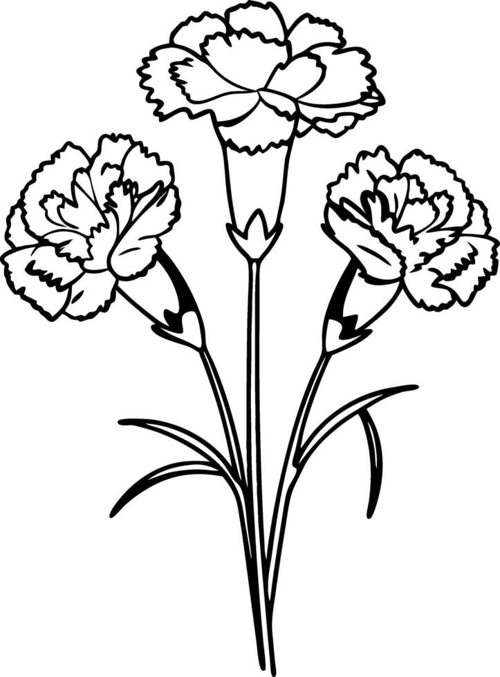 Carnation Flower Bouquet Outline Art for Crafts and Tattoos vector