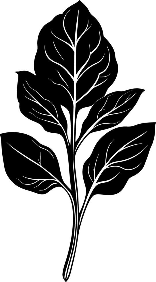 Detailed Botanical Leaf Illustration for Design and Decoration vector