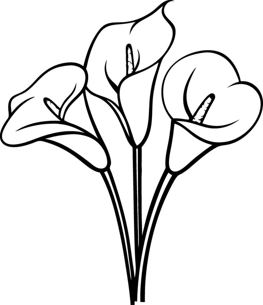 Elegant Calla Lily Outline Illustration for Tattoo and Design vector