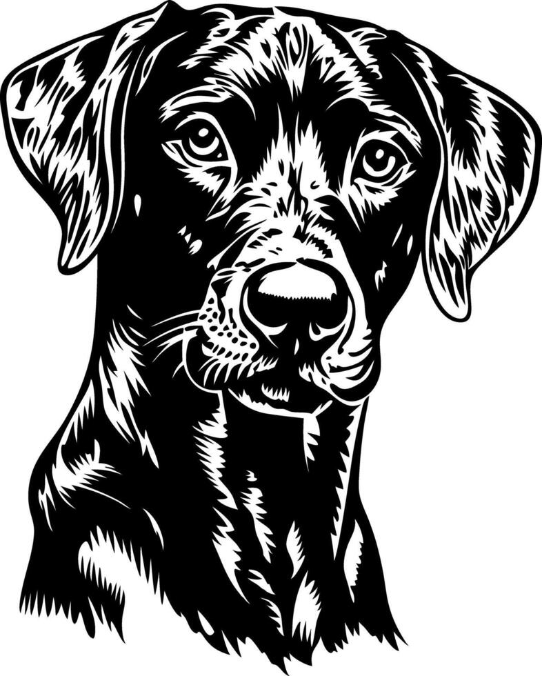 Realistic Dog Head Illustration for Tattoo and Design Use vector