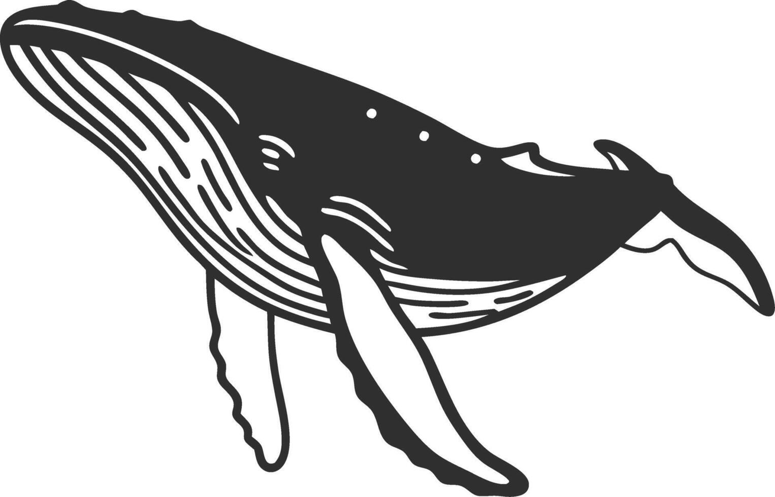 Majestic Humpback Whale Illustration for Design and Art Projects vector