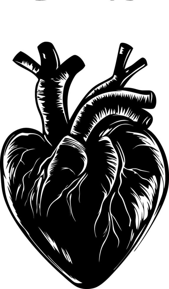 Detailed Anatomical Heart Illustration for Tattoos and Graphic Design vector
