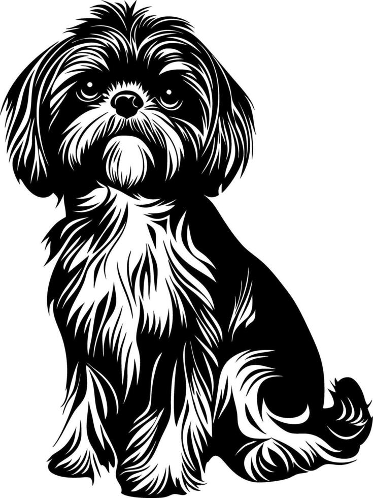 Shih Tzu Dog Art for Tattoo and Coloring Book Designs vector
