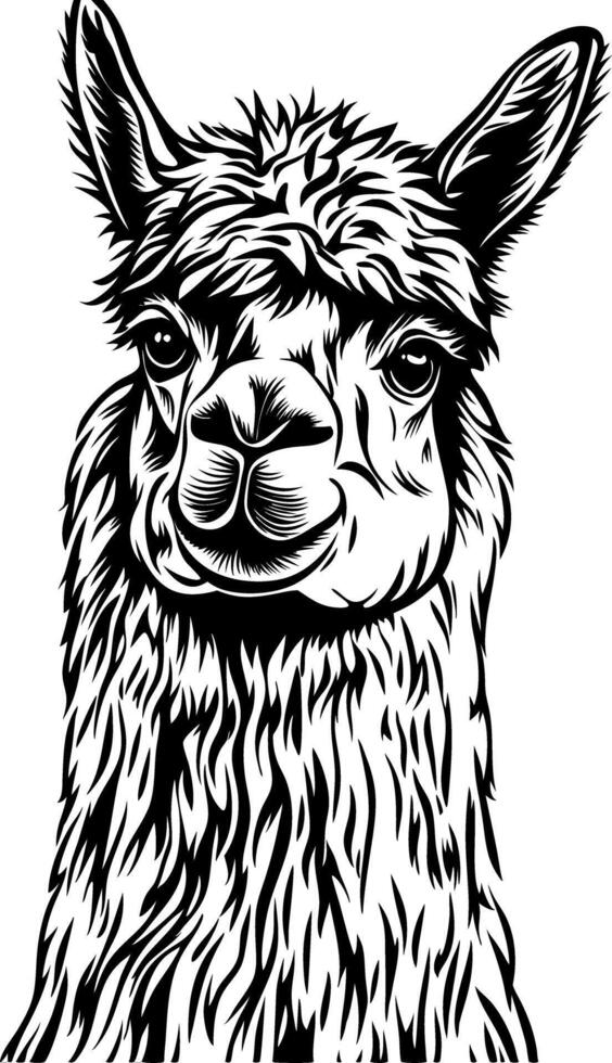 Detailed Llama Head Illustration for Creative Design Projects and Apparel vector