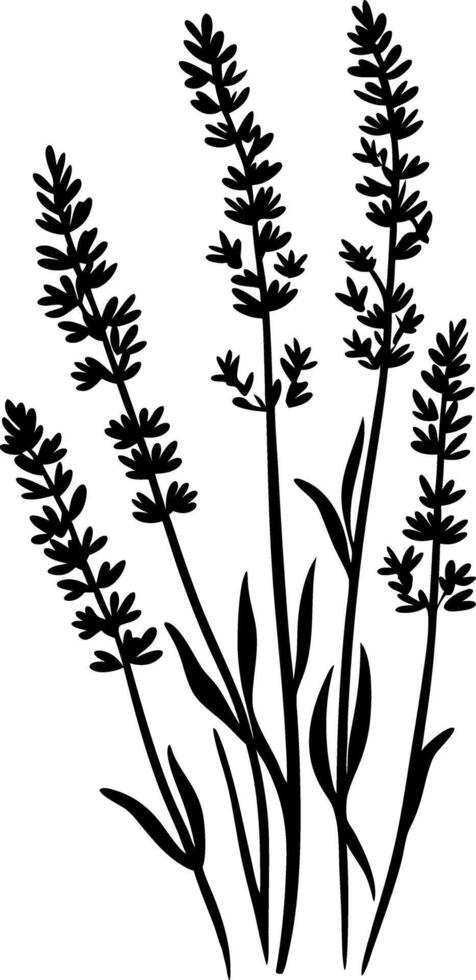 Lavender Plant Silhouette for Botanical Design and Decor Projects vector