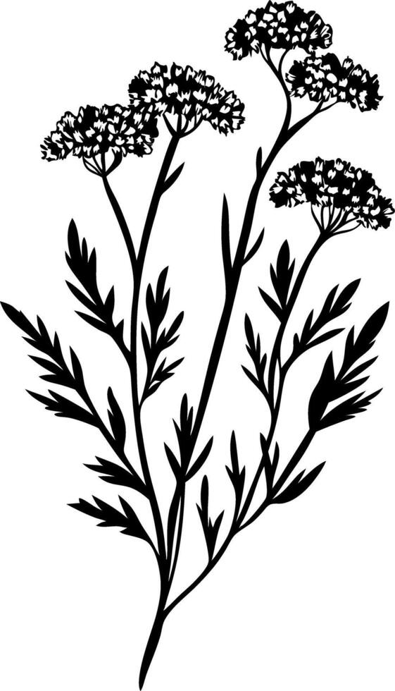 Silhouette Botanical Wildflower Illustration for Nature Art and Design vector
