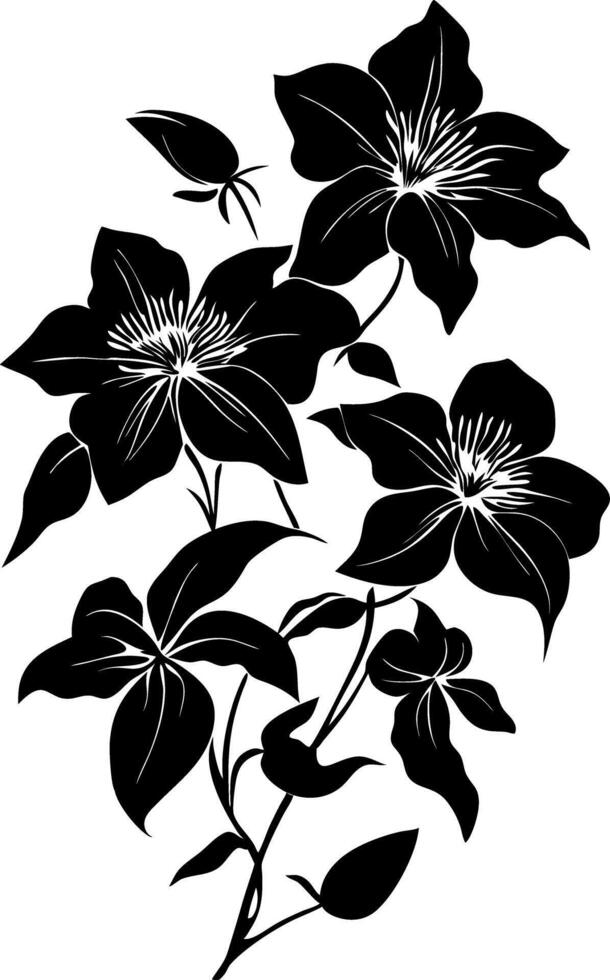 Black Floral Illustration Clematis Silhouette for Tattoo or Pattern Design vector