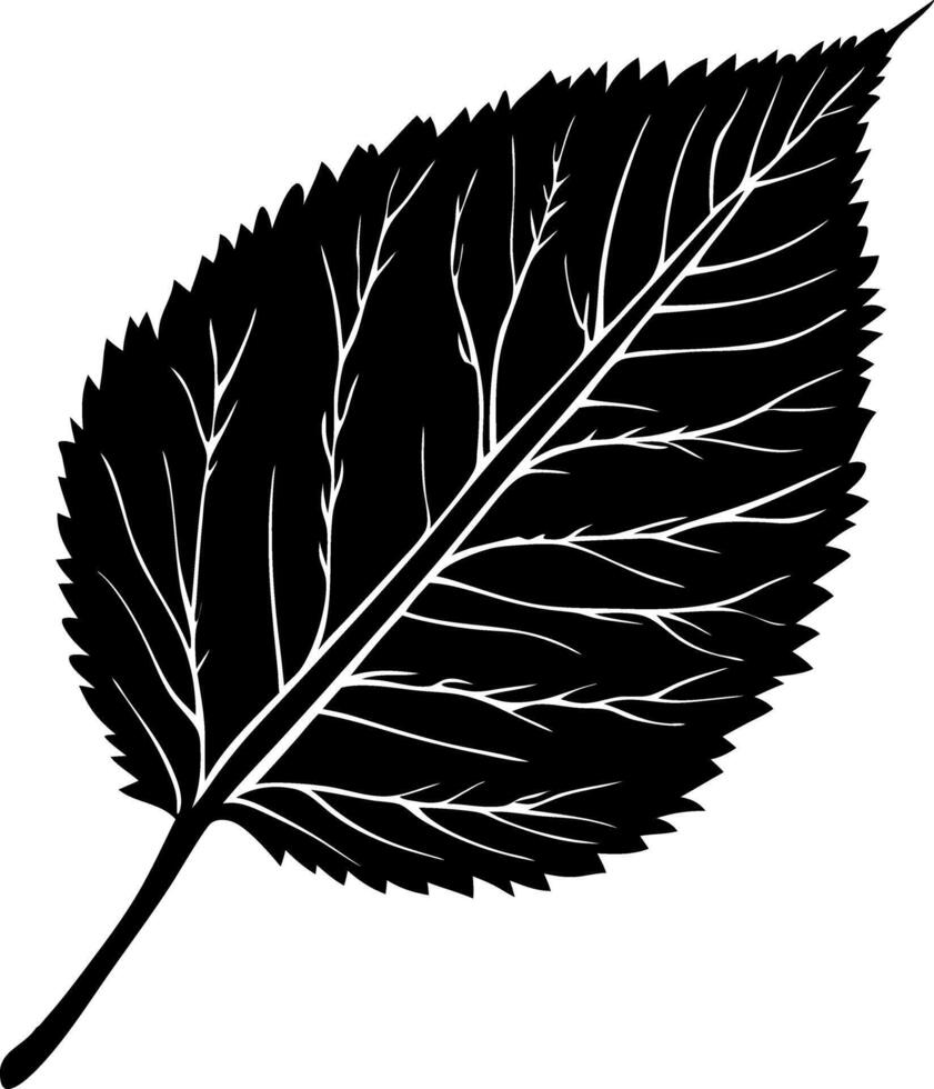 Black Silhouette Leaf Detailed Botanical Illustration Design vector