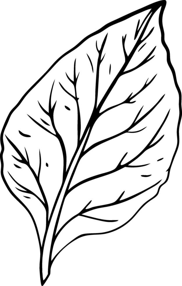 Black Outline Leaf Illustration Perfect for Tattoos and Coloring Books vector