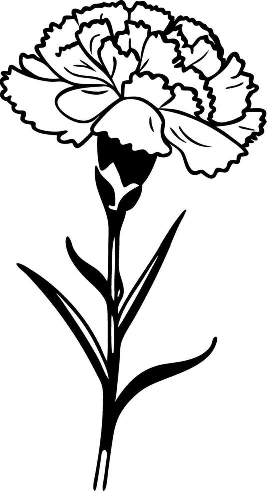 Carnation Flower Illustration for Tattoo and Coloring Book Design vector