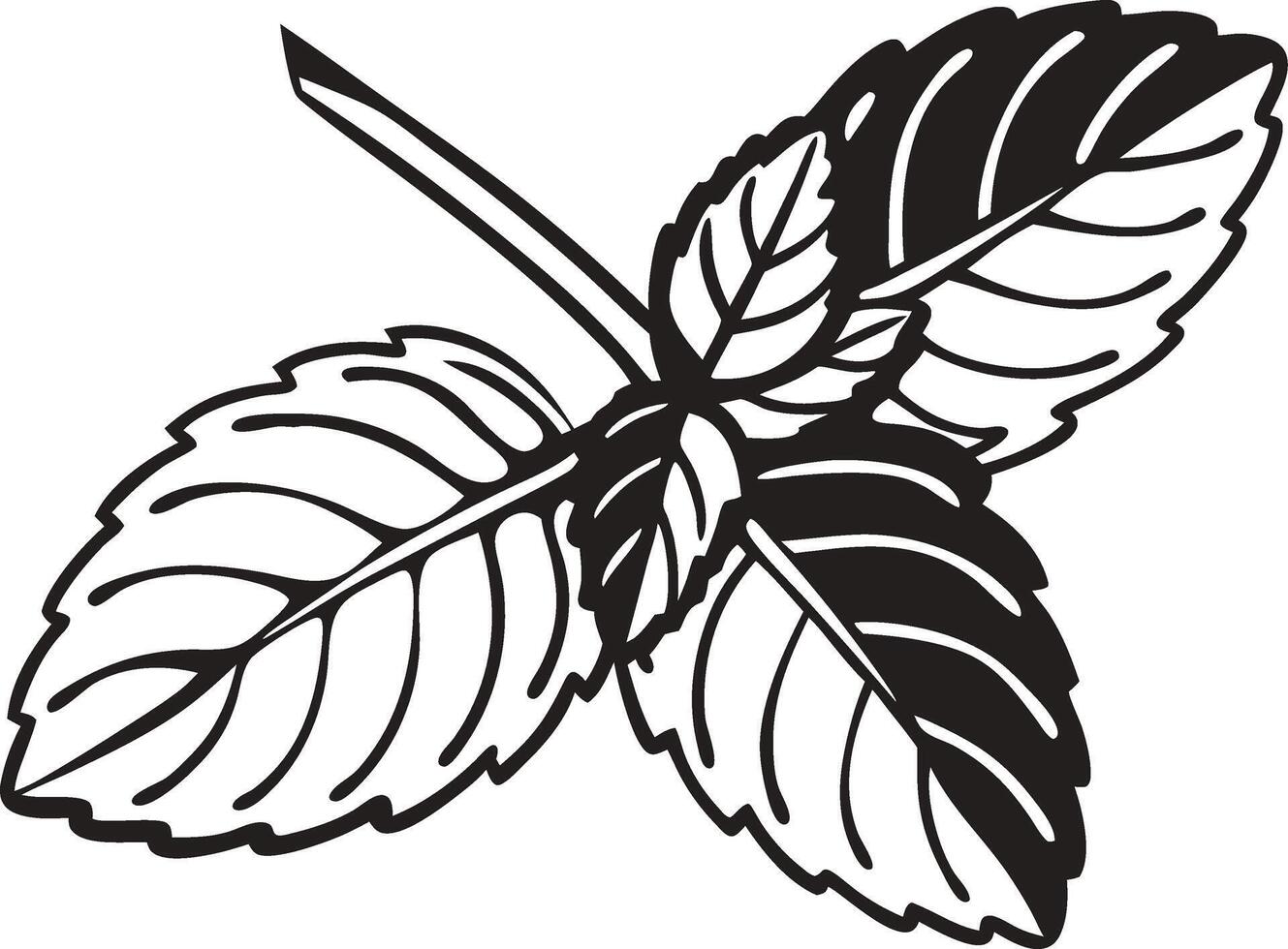 Mint Leaf Illustration for Botanical Designs and Nature Art Projects vector