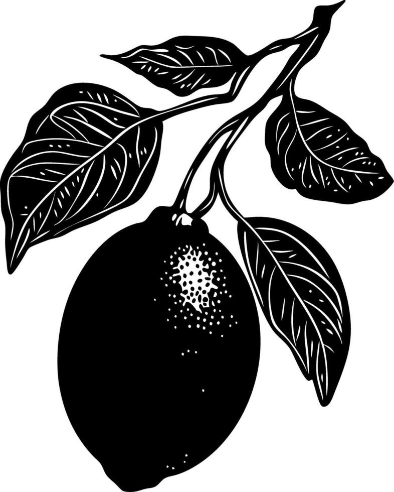 Vintage Lemon Branch Illustration for Botanical Art and Design Projects vector