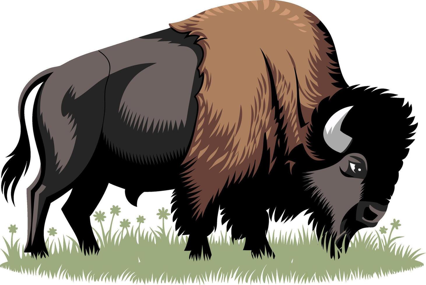 Majestic Buffalo Grazing on Grassland Illustration for Nature and Wildlife Art vector