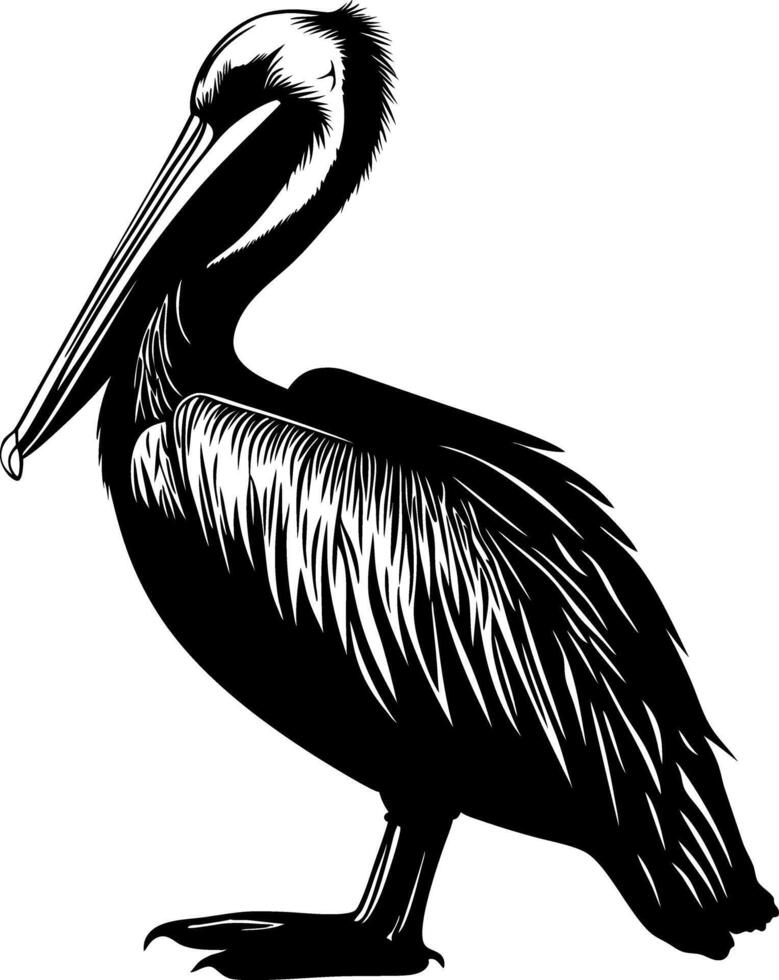 Silhouette of Pelican Bird Illustration Design Art vector