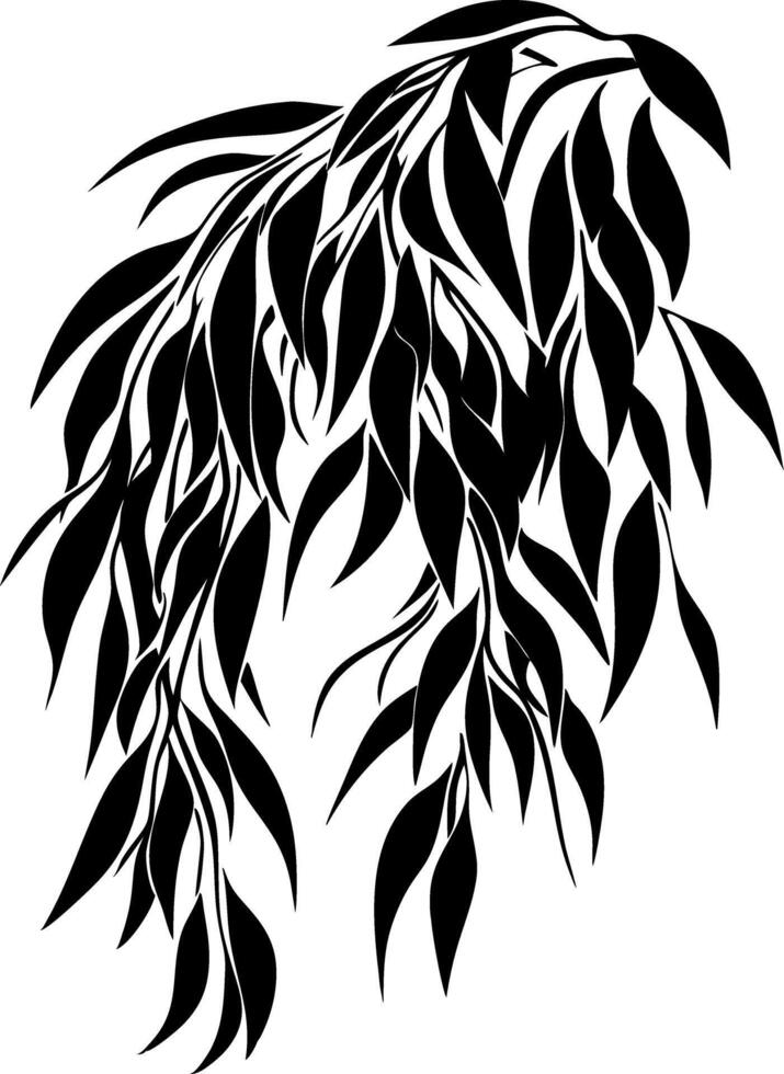 Elegant Black Silhouette of Weeping Willow Tree Branch Leaves Illustration vector