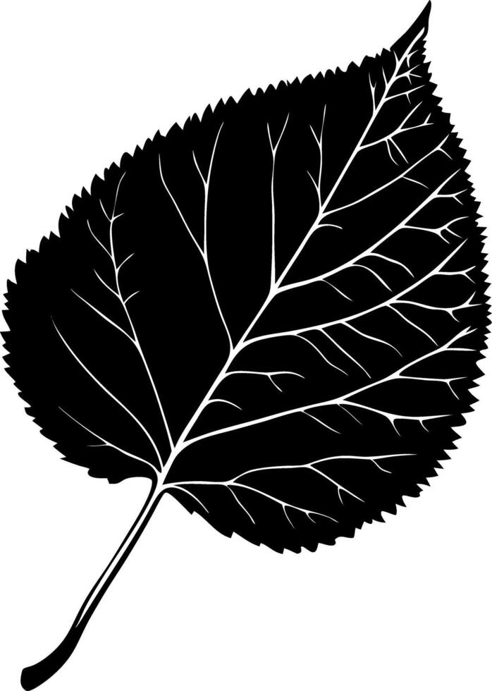 Detailed Black Leaf Silhouette Botanical for Art and Design Projects vector
