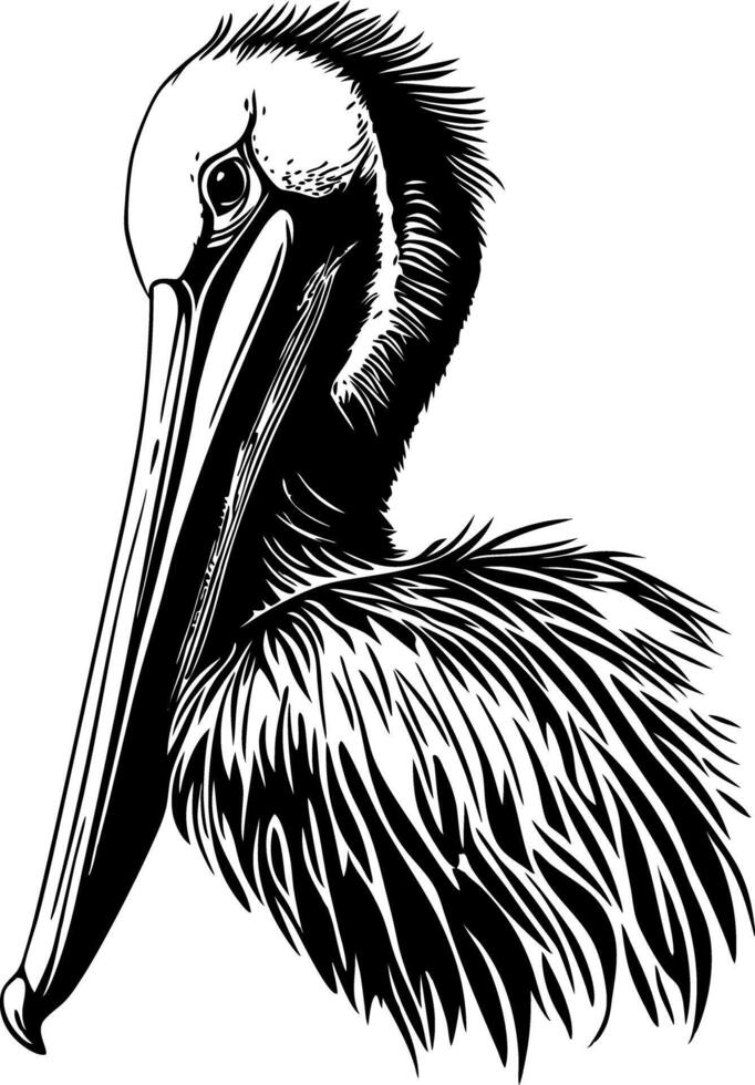 Detailed Pelican Profile Art for Creative Projects and Designs vector