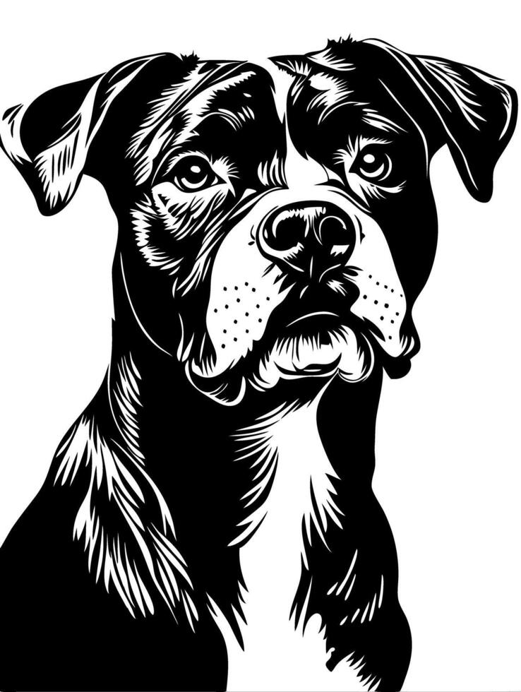 Detailed Boxer Dog Illustration for Tattoos and Designs vector