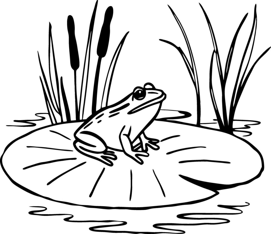 Frog on Lily Pad for Nature Illustrations and Coloring vector