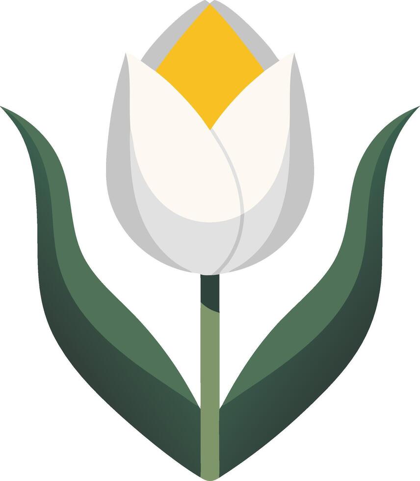 Elegant White Tulip Illustration for Design and Decor Projects vector