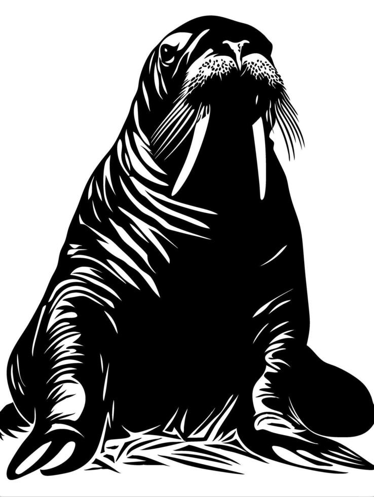 Majestic Walrus Art for Tattoo and Coloring Book Design vector