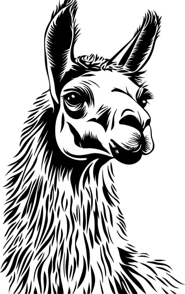 Llama Head Black and White Illustration for Tattoo and Design vector