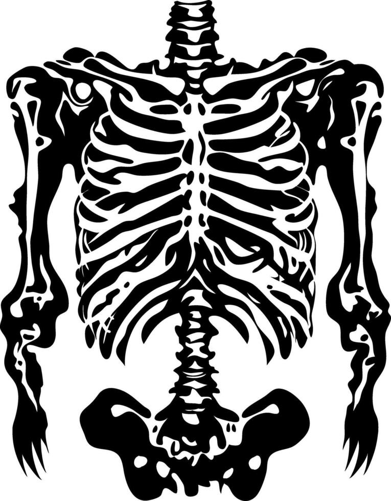 Human Skeleton Ribcage Illustration for Tattoos and Anatomy Education vector
