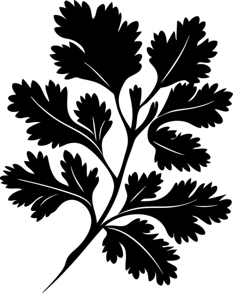 Silhouette of Fresh Herb Leaf for Art and Design Projects vector