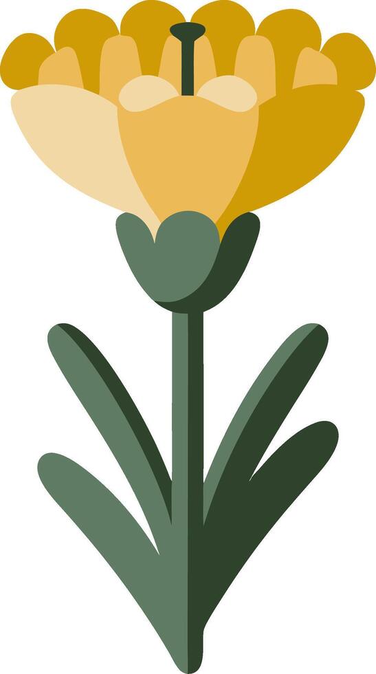 Yellow Marigold Graphic for Decorative Art and Design Projects vector
