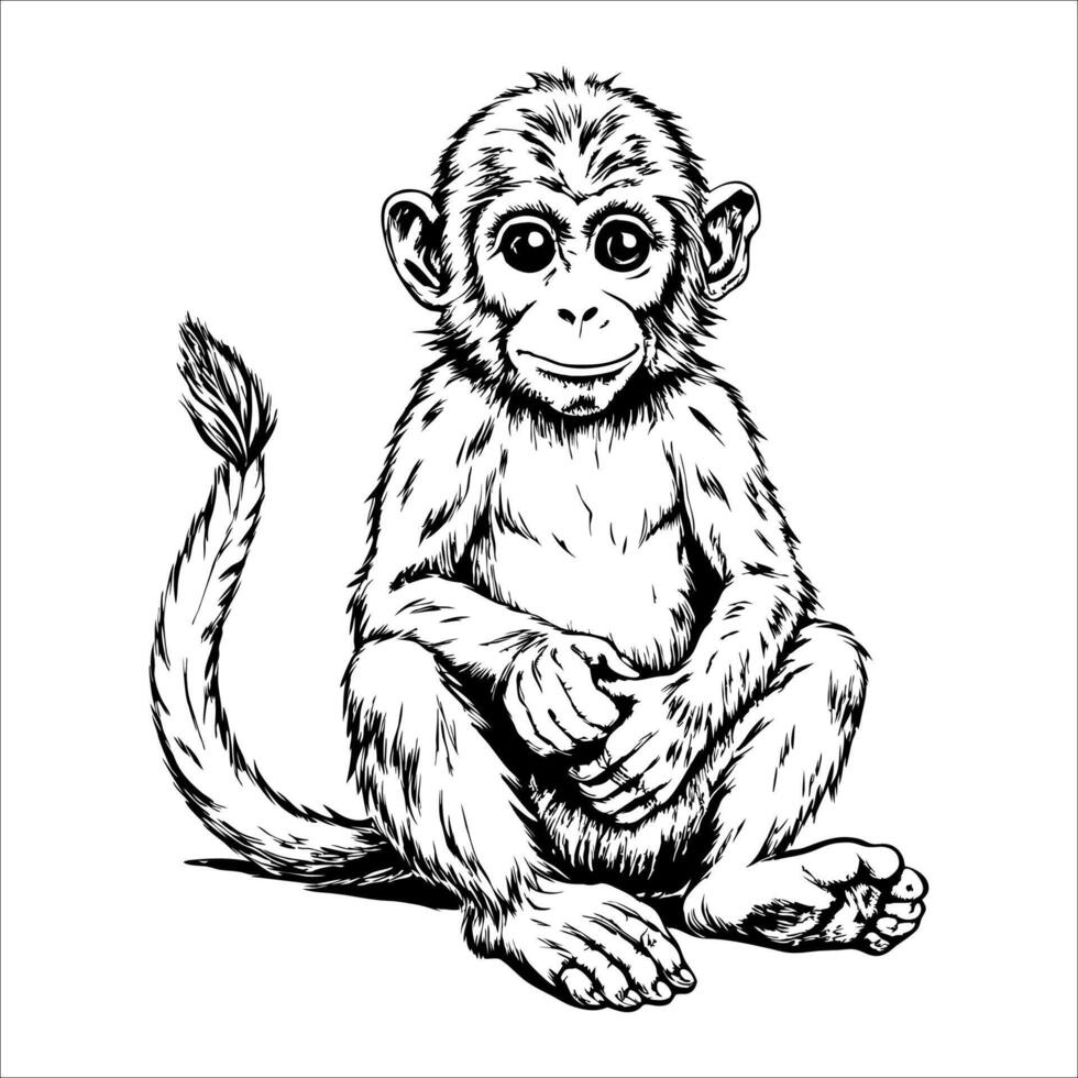 Cute baby monkey is sitting on the ground with its legs crossed vector