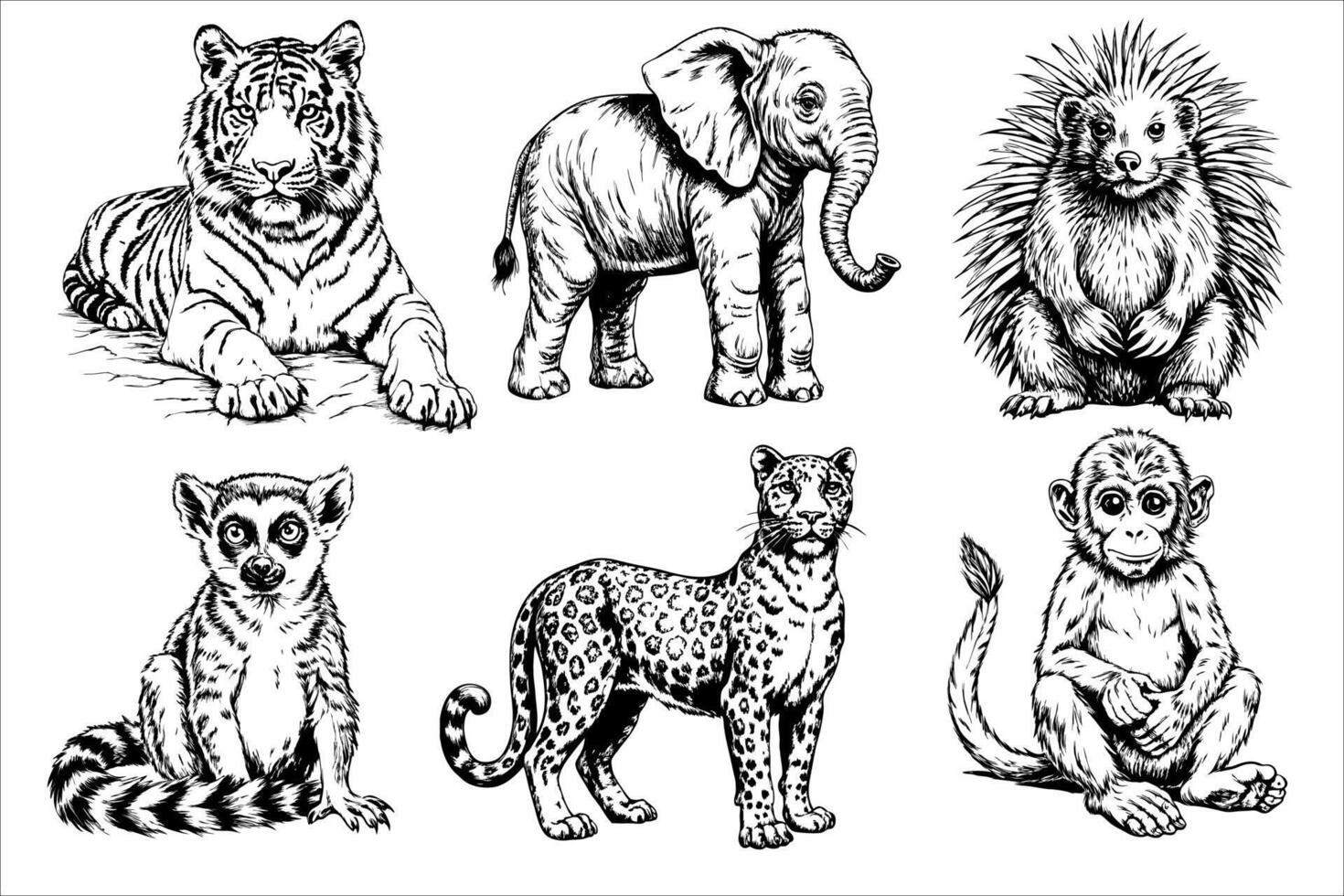 Set of black and white drawings of animals, including a tiger, elephant vector