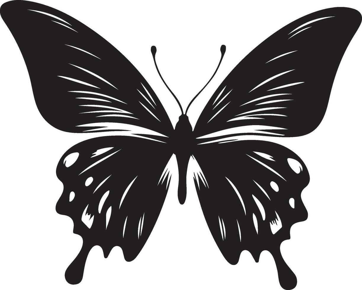 Beautiful Butterfly Graphics for Branding and Marketing vector