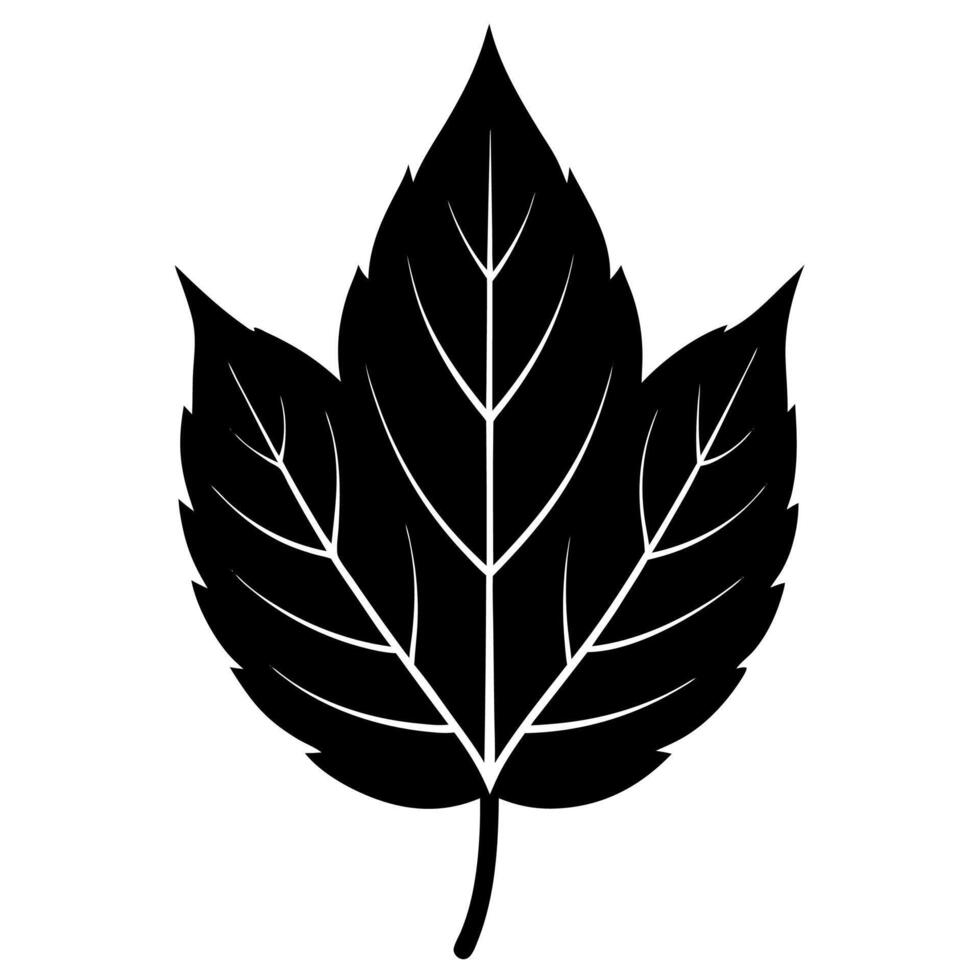 Autumn leaf silhouette icon nature themes. vector