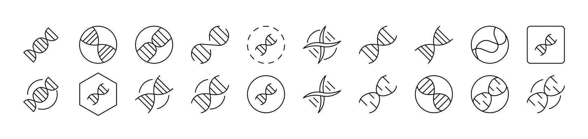 DNA Set of Thin Icons. Editable Stroke. Suitable for Web Sites, Books, Cards, Apps vector