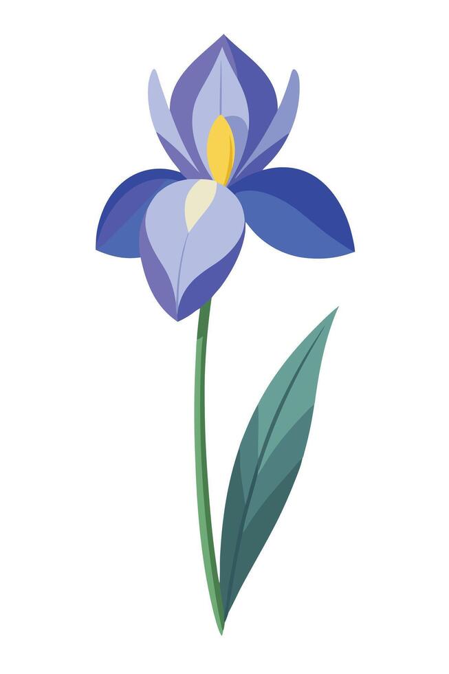 Elegant Purple Iris Flower Botanical Illustration Design vector