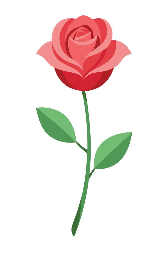 Single Red Rose Blossom, Stem, Leaves, Floral Design, Nature vector