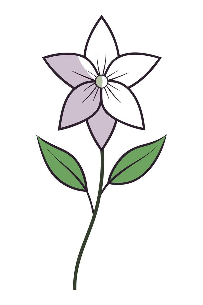 Elegant Simple Lavender Flower Blossom Stem Green Leaves Illustration vector