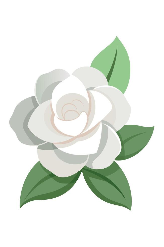Elegant White Gardenia Blossom with Lush Green Leaves Illustration vector