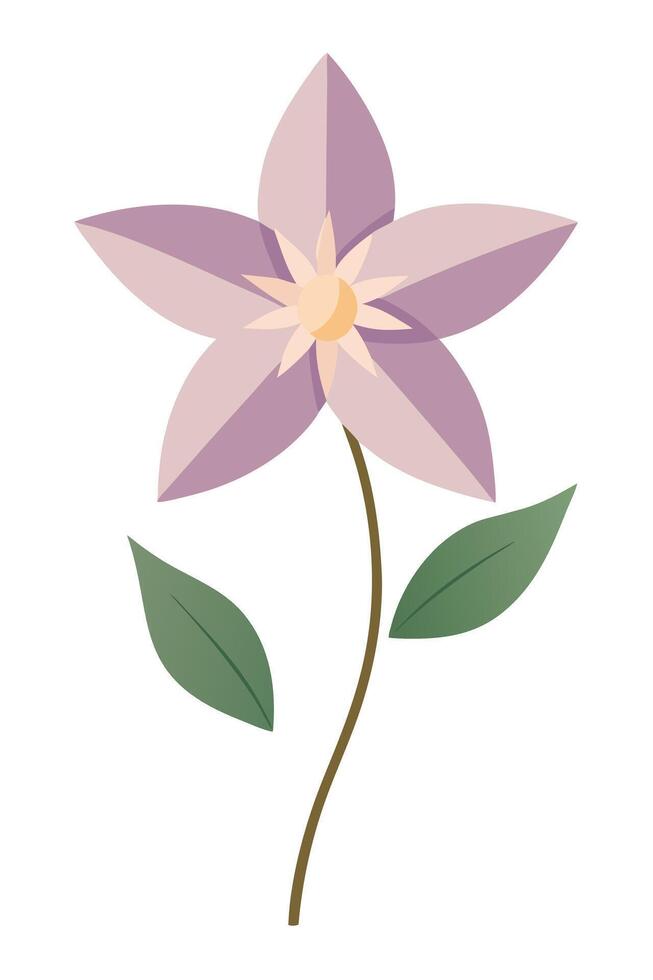 Elegant Lavender Clematis Flower, Stem, Leaves, Botanical Illustration vector