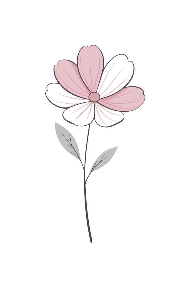 Elegant Pink and White Flower Illustration, Simple Botanical Design vector