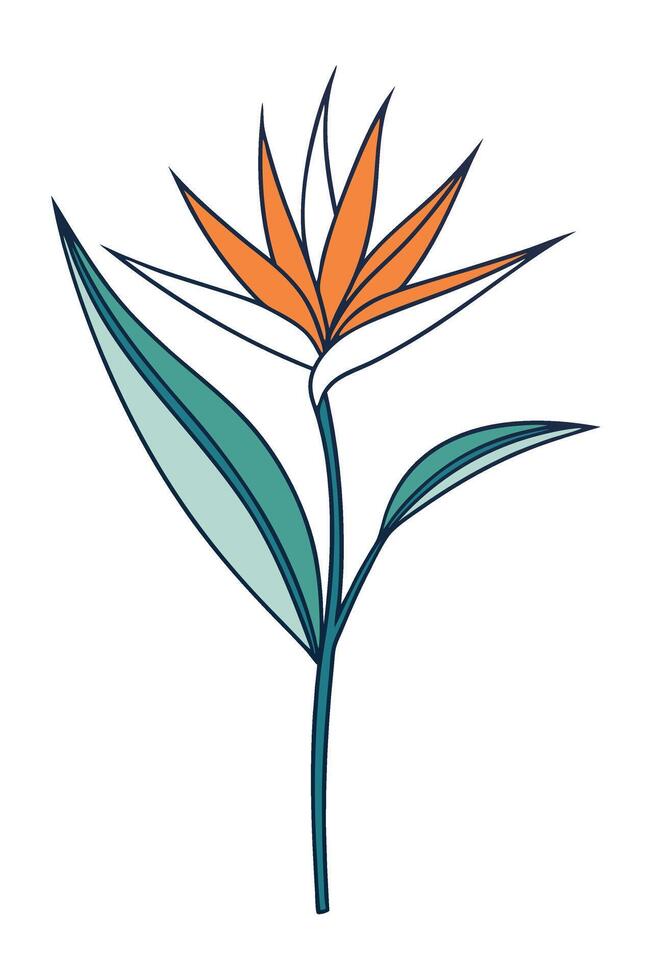Bird of Paradise Flower Illustration, Tropical Botanical Design vector