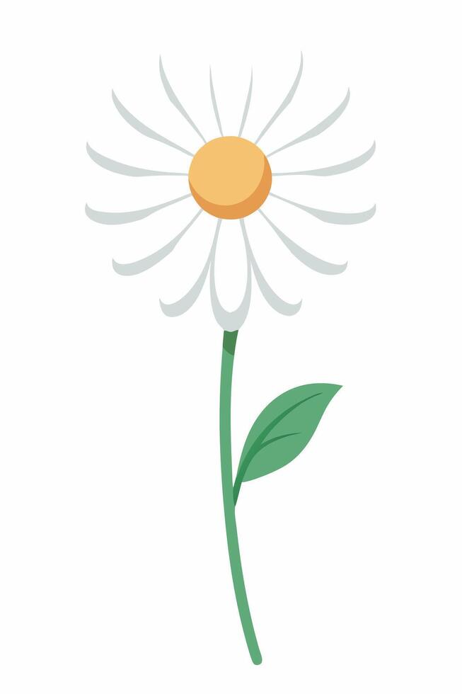 Simple White Daisy Flower Illustration, Botanical Art, Nature Design vector