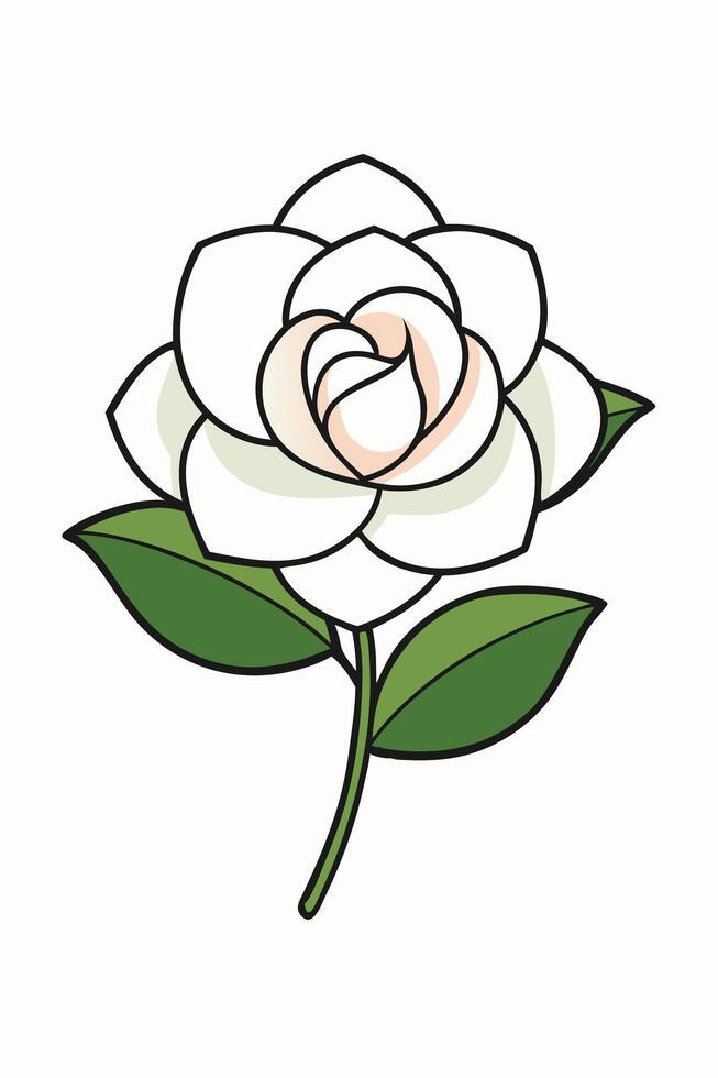 Elegant White Gardenia Flower Illustration, Simple Botanical Art vector