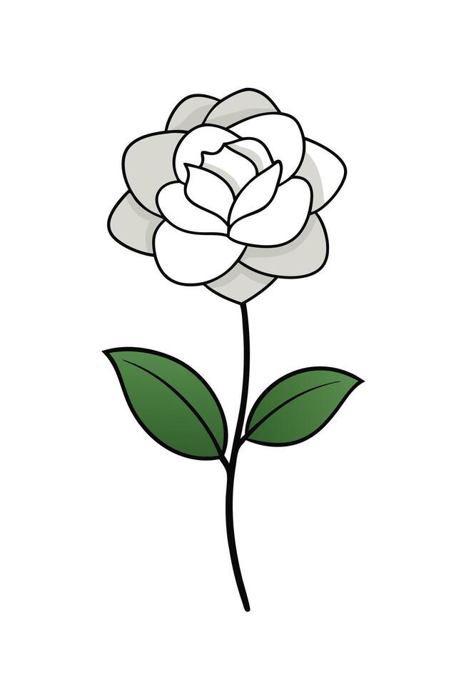 Elegant White Camellia Flower Illustration, Simple Botanical Design vector