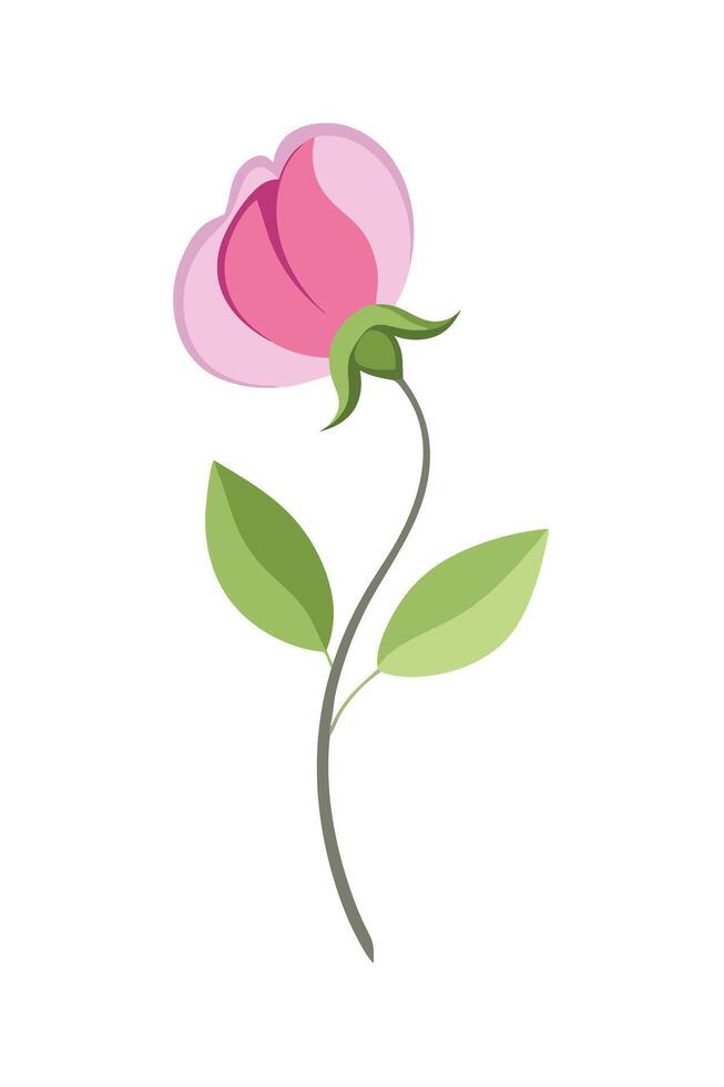 Elegant Pink Flower Stem with Leaves, Simple Botanical Illustration vector