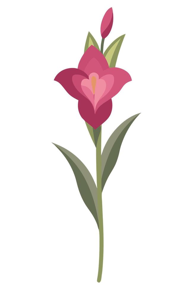 Single Pink Flower Stem, Green Leaves, Bud, Botanical Illustration vector